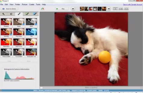 Picasa 照片管理界面截图